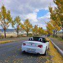 구도일주유소대학로 이미지