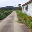 다락금솔밭공원 이미지