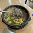 본가곰탕 | 일곡동밥집 본가나주곰탕 수육곰탕 특곰탕 후기