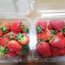 강남이네민박 이미지