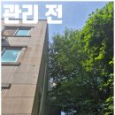 용호1로 16번길 | 군포 벌목 나무자르기 업체 수목관리