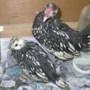 완석농장 이미지