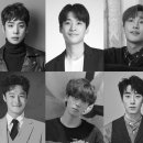 개와고양이 이미지