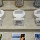 Stay Lazy Morning | 까먹기 전에 메종 마르지엘라 향수 취향 글