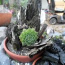 원천마을 이미지