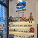 폴포이스안경 이미지