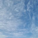 달서구청소년수련관 이미지