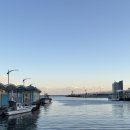 매운탕거리 | [묵호맛집 | 묵호항활어판매센터] 자연산 광어우럭 저렴하게 구매하는법 매운탕거리포장 내돈내산 후기