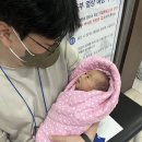 효병원1(도리티고개) | 2025년 6월-10월 일상기록