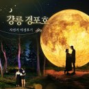 괴평입구자전거도로 | 강릉 경포호 야경 l 자전거 대여 가격 할인팁 포토존까지 경포호수 한바퀴[내돈내산]