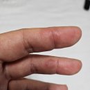 대세포차 이미지