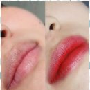 아미속눈썹