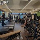 캐리스타휘트니스 이미지