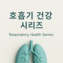 천식·COPD·폐렴·폐암까지 호흡기 질환을 흐름으로 정리했습니다 이미지