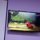 흥해아동병원