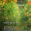굿밤think 이미지