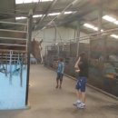 나불도 승마랜드 이미지