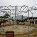 시흥은행중학교 이미지