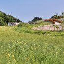 부대목장 이미지