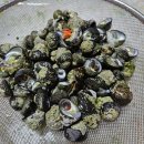 영덕 고래불해수욕장과 숙소후기,동해안맛집,동해바다추천