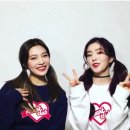 배틀조이 Daum카페