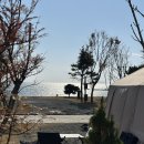하나로드림(주) | 충남 태안 오션뷰 애견동반 캠핑드림 캠핑장, 11월 캠핑 후기