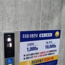 채미다움 이미지