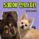 굿사운드(GOOD SOUND)