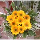 애플트리어린이집 이미지