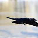 직선거리 이미지