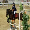 장수승마로 이미지