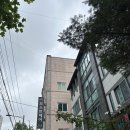 더모스트헤어 구미점 : 구미 사곡동 파마 후기