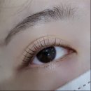 리즈샵사라봉점 | 제주 사라봉 속눈썹펌 속눈썹연장 리즈샵에서 받은 후기