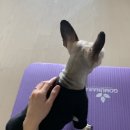 그루밍 라운지 이미지