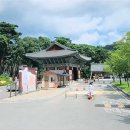 고요한 숲 | 팔공산 은해사 - 천년고찰이 품은 고요한 숲속의 쉼표, 영천 사찰, 대구 근교 가볼만한 곳