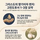 271일 : 고린도후서 1~3장 이미지