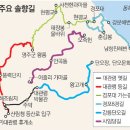 동아 펌[김화성 전문기자의 &joy]강릉대관령 ‘솔향길’ 걷기 이미지