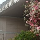 우성온천