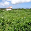 성산읍-3 이미지