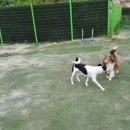 이지스힐 이미지