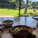 양지중앙약국 이미지