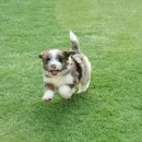 송이로14길 이미지