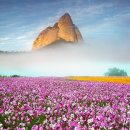 진안읍 1403 이미지