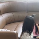 거연경로당 이미지