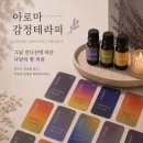 벨리테라피 | 왁싱] 김포 최초 아로마 왁싱+벨리테라피로 통증 순삭하고 온 솔직 후기! (feat. 감정테라피 힐링 ㅠㅠ)
