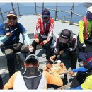 신진도조이 이미지