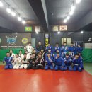 팀타이런트 유도 이미지