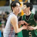 정호영 카카오 검색결과
