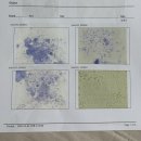 위더스동물의료센터 이미지