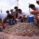삼화제분노동조합 이미지